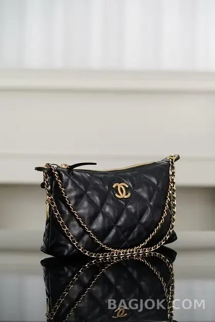 샤넬 CHANEL 25S 골드 코인 호보백 스몰 상세 이미지
