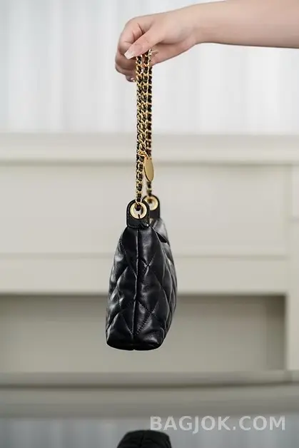 샤넬 CHANEL 25S 골드 코인 호보백 스몰 상세 이미지