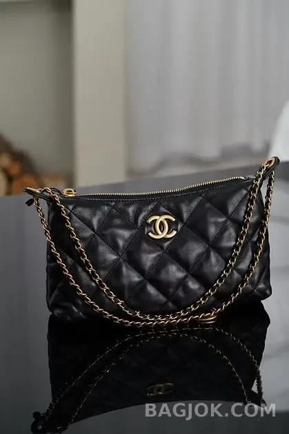 샤넬 CHANEL 25S 골드 코인 호보백 스몰 상세 이미지