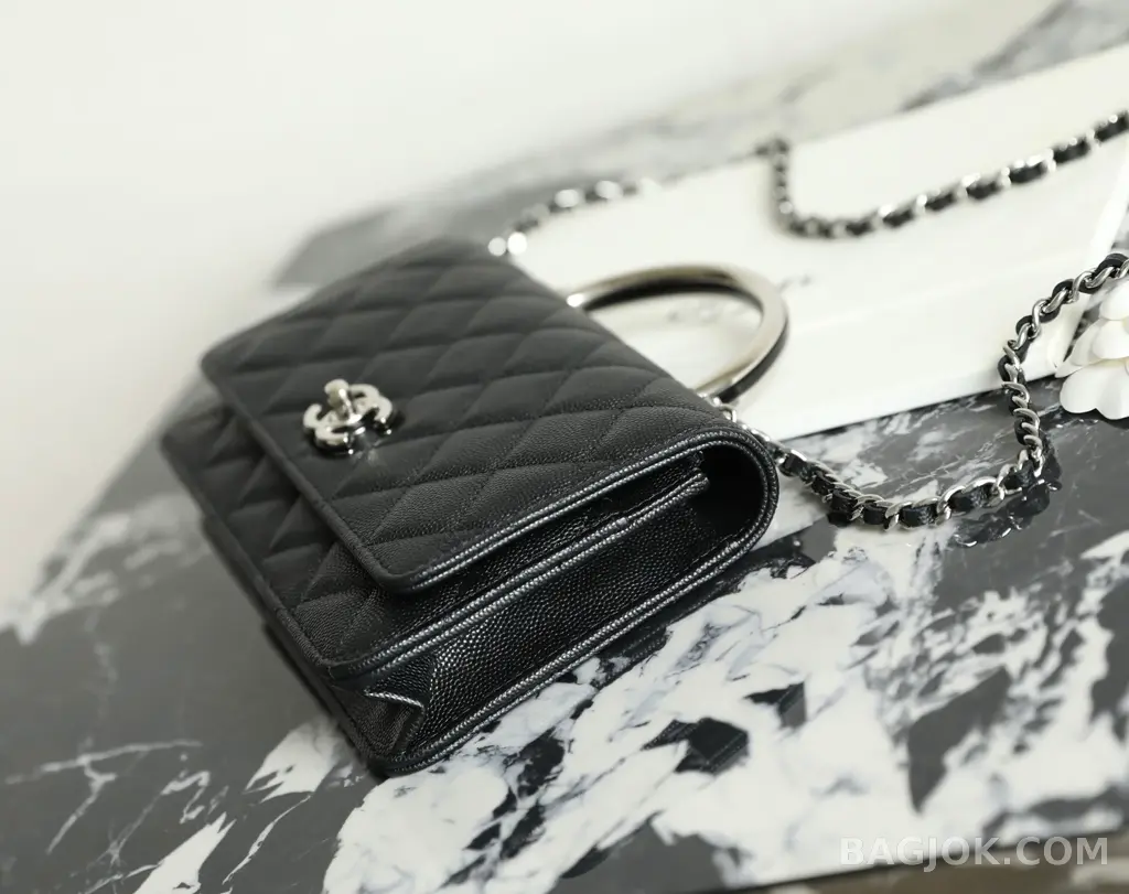 샤넬 Chanel 25P 탑핸들 WOC 상세 이미지