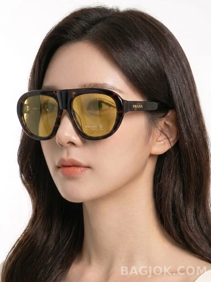 토르토이즈