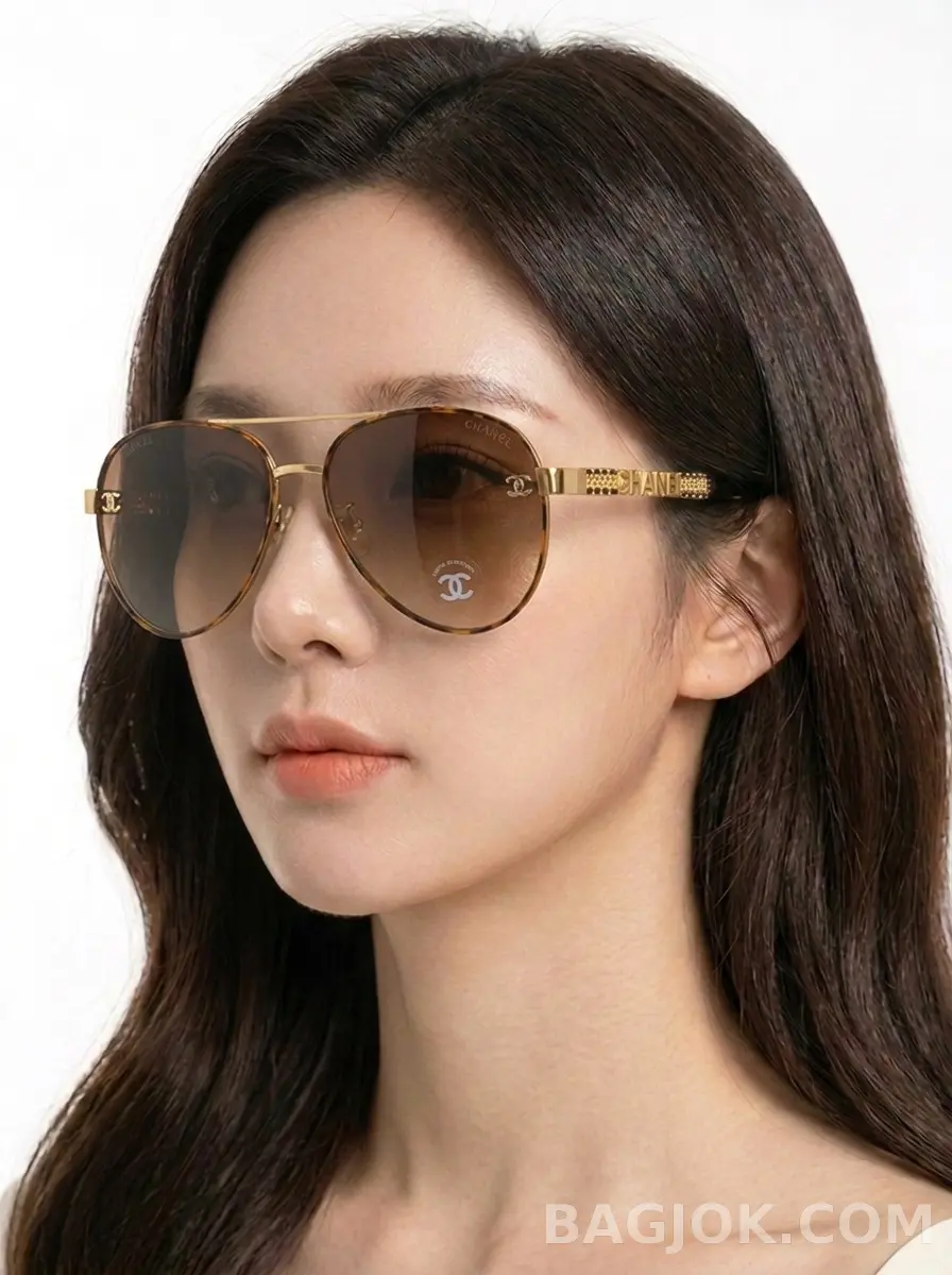 토르토이즈