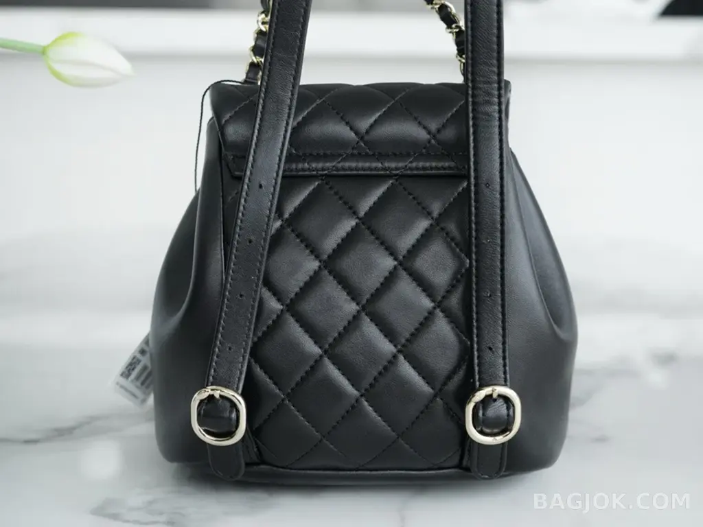 샤넬 Chanel 듀마 백팩 스몰 상세 이미지