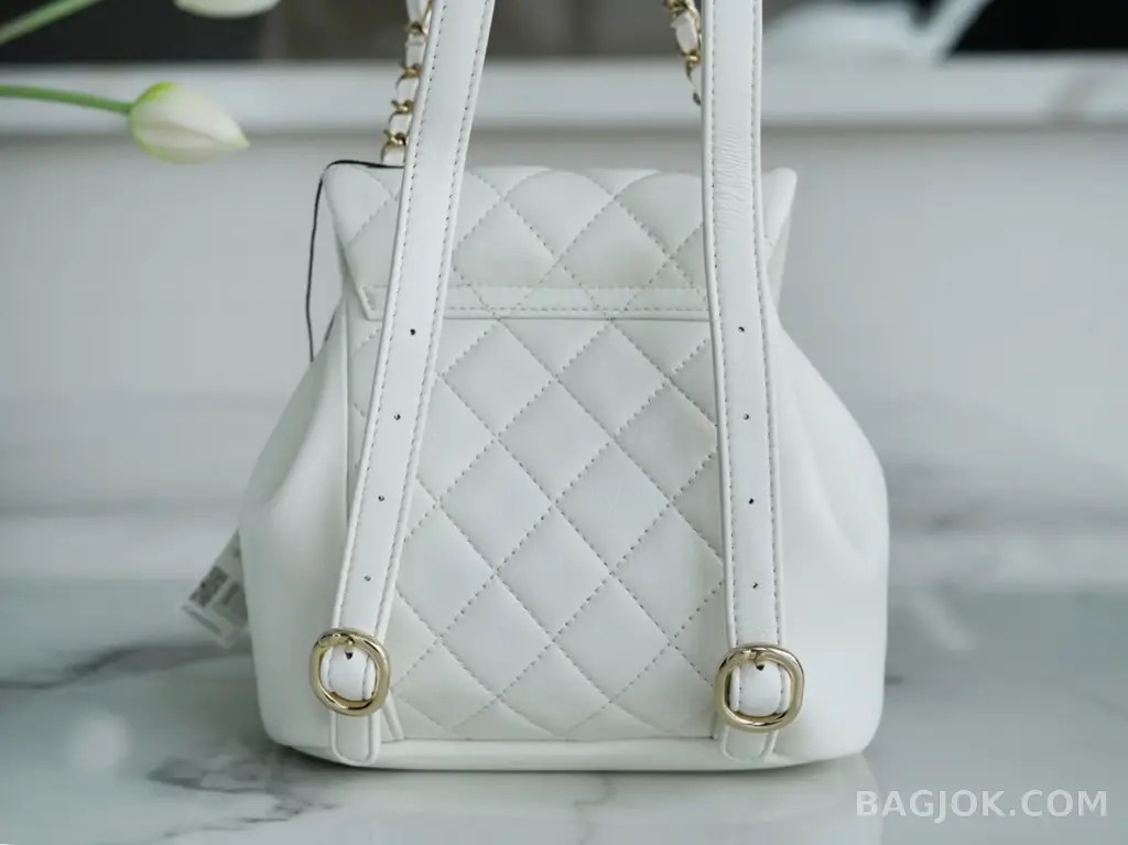샤넬 Chanel 듀마 백팩 스몰 상세 이미지