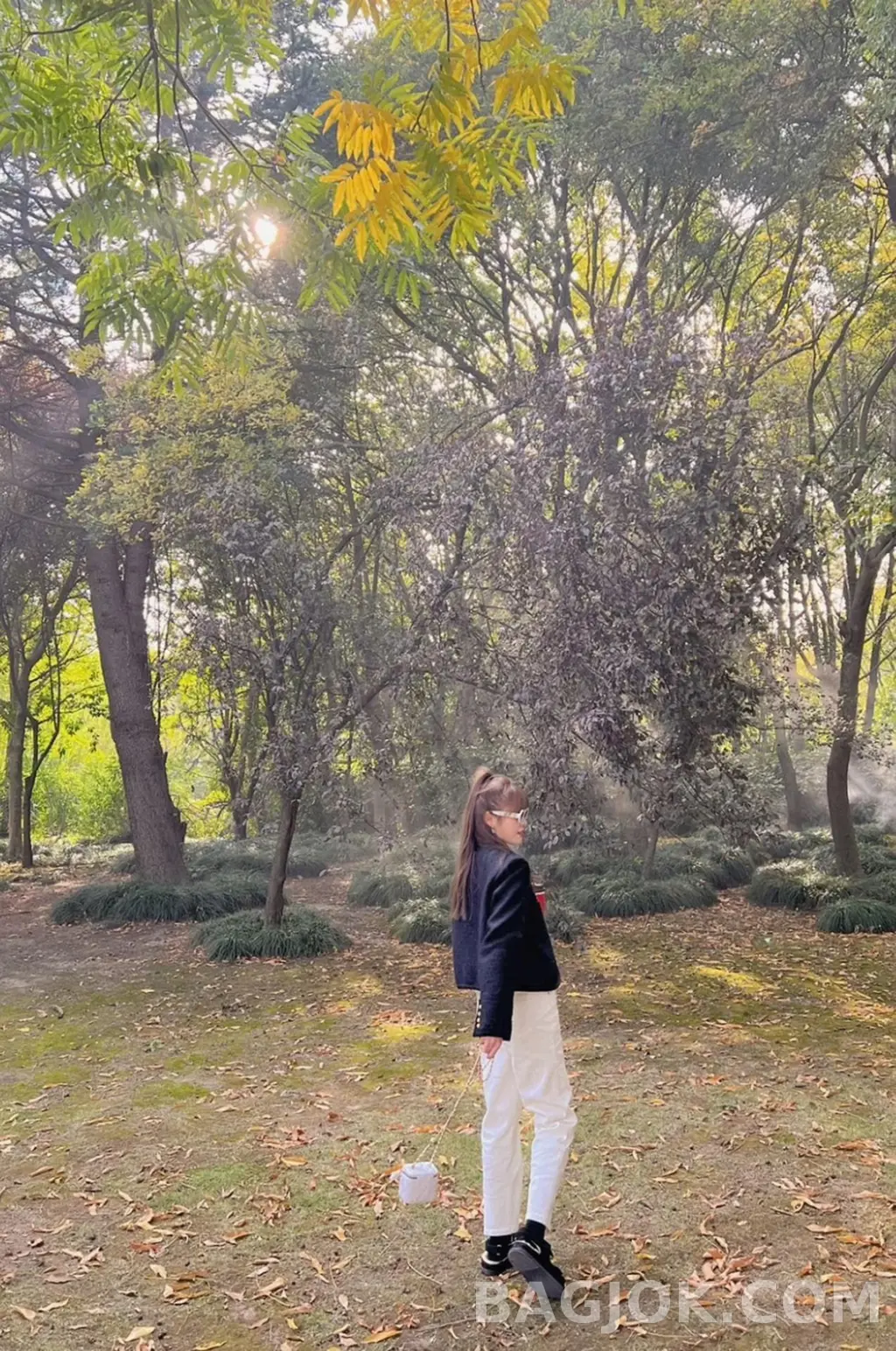 샤넬 Chanel 골드볼 미니 베니티 상세 이미지