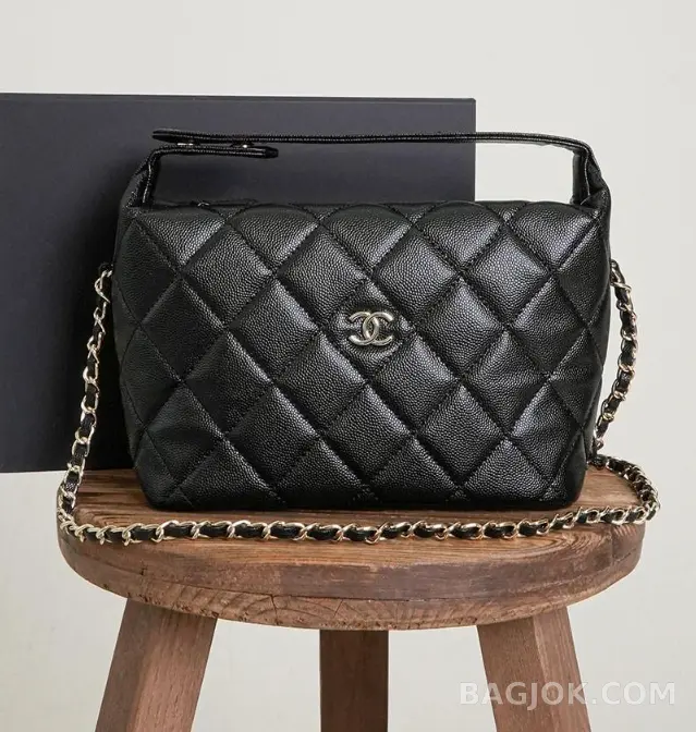 샤넬 Chanel 25C 크루즈 미니 체인 호보백 상세 이미지