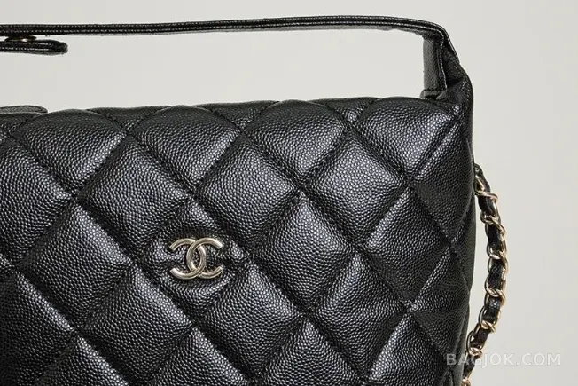 샤넬 Chanel 25C 크루즈 미니 체인 호보백 상세 이미지