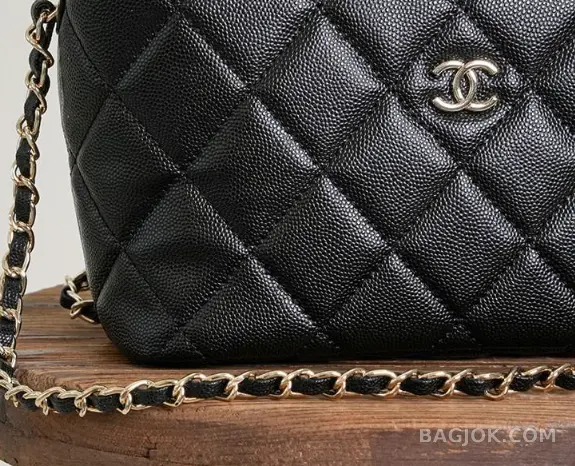 샤넬 Chanel 25C 크루즈 미니 체인 호보백 상세 이미지