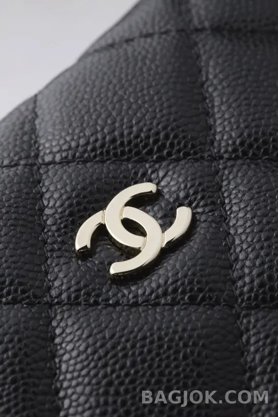 샤넬 Chanel 25C 크루즈 미니 체인 호보백 상세 이미지