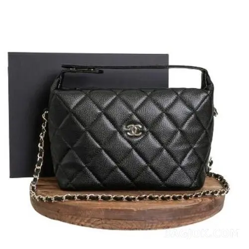 샤넬 Chanel 25C 크루즈 미니 체인 호보백 상세 이미지