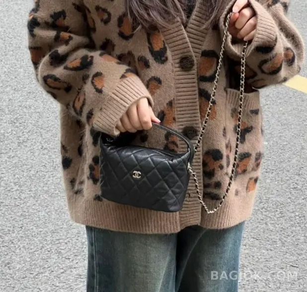 샤넬 Chanel 25C 크루즈 미니 체인 호보백 상세 이미지