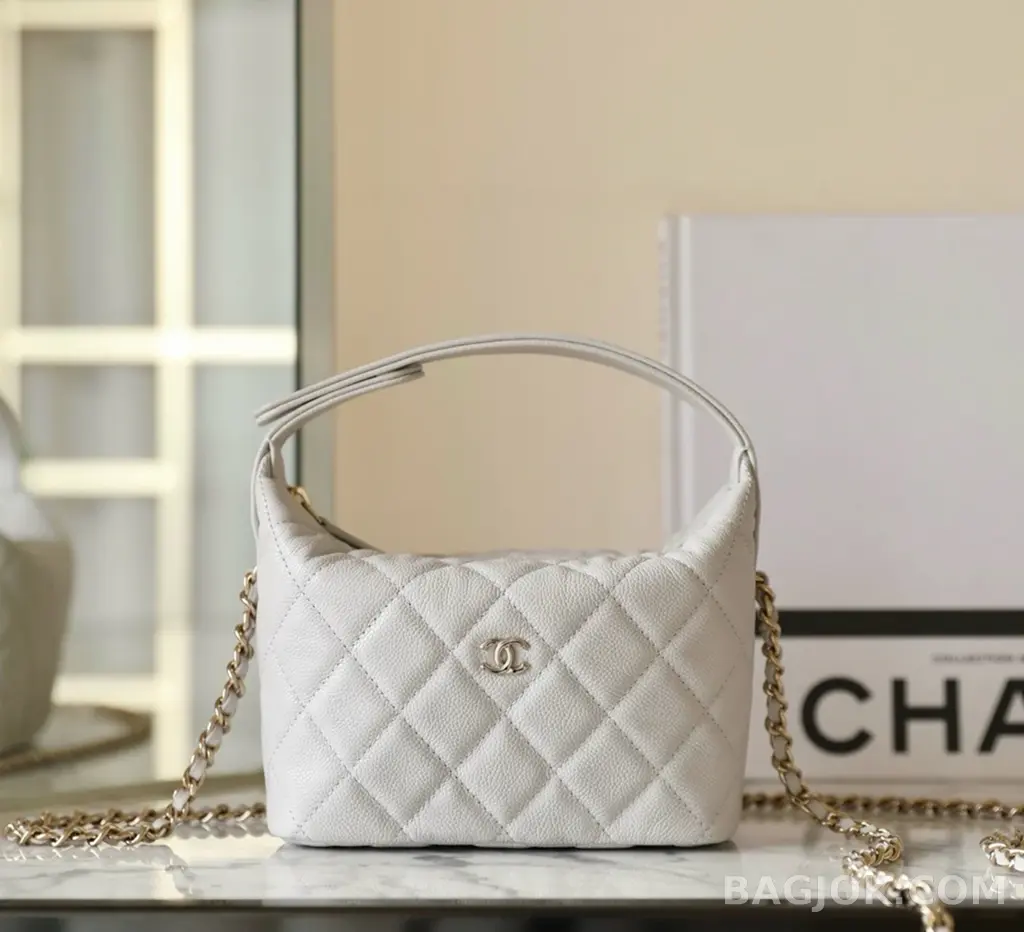샤넬 Chanel 25C 크루즈 미니 체인 호보백 상세 이미지