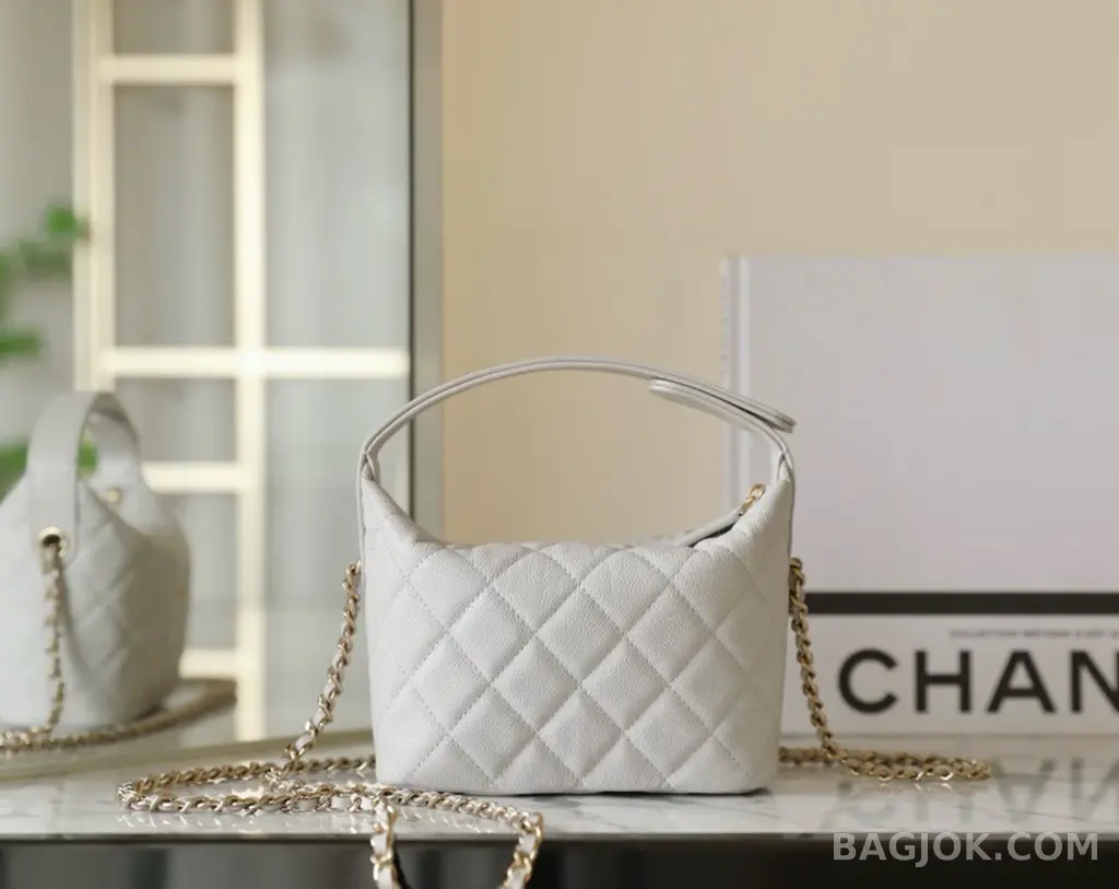샤넬 Chanel 25C 크루즈 미니 체인 호보백 상세 이미지
