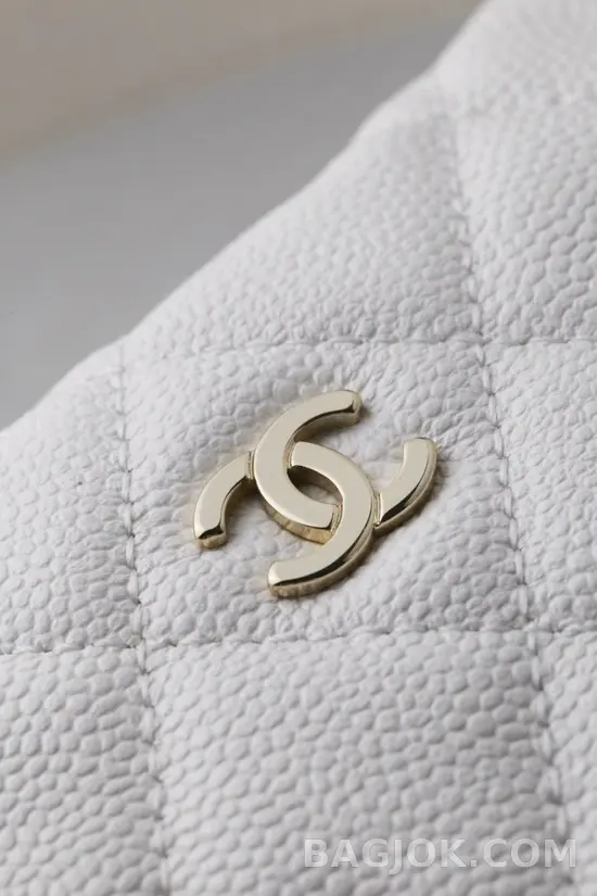샤넬 Chanel 25C 크루즈 미니 체인 호보백 상세 이미지