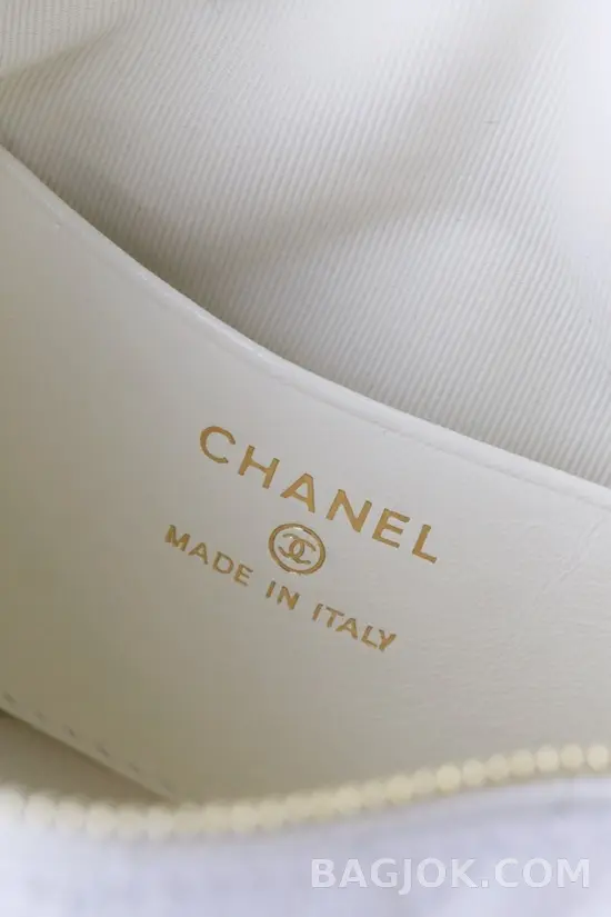 샤넬 Chanel 25C 크루즈 미니 체인 호보백 상세 이미지
