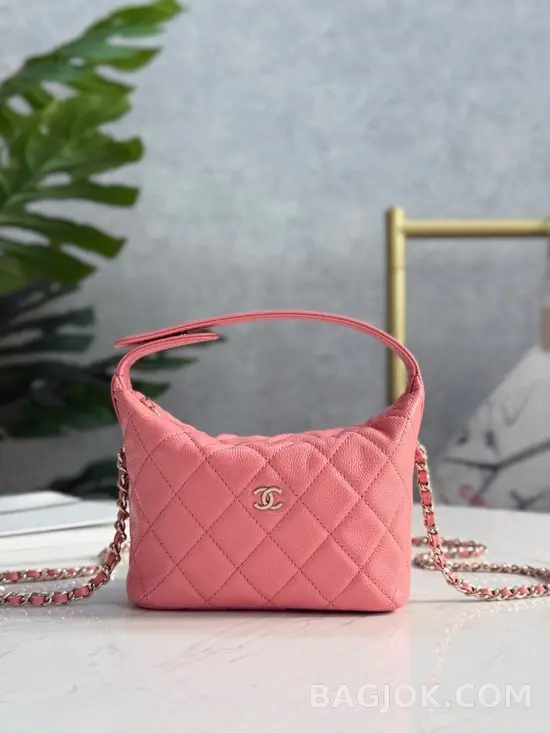 샤넬 Chanel 25C 크루즈 미니 체인 호보백 상세 이미지