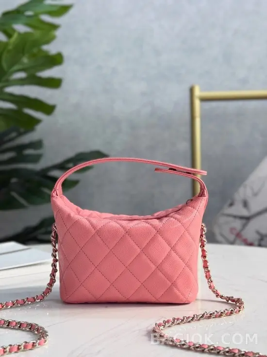 샤넬 Chanel 25C 크루즈 미니 체인 호보백 상세 이미지