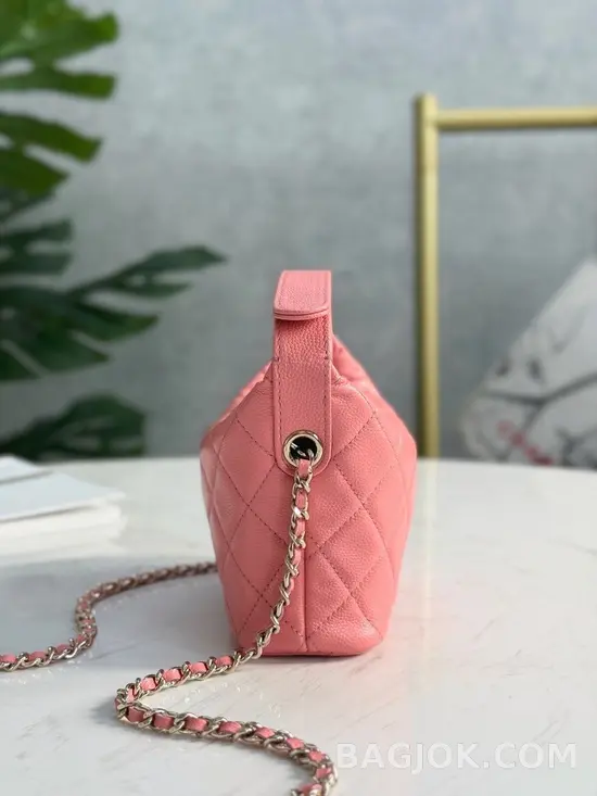 샤넬 Chanel 25C 크루즈 미니 체인 호보백 상세 이미지
