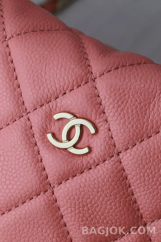 샤넬 Chanel 25C 크루즈 미니 체인 호보백 상세 이미지