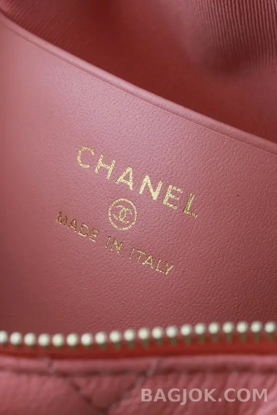 샤넬 Chanel 25C 크루즈 미니 체인 호보백 상세 이미지