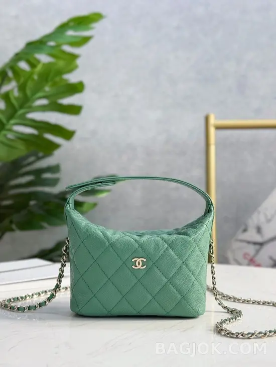 샤넬 Chanel 25C 크루즈 미니 체인 호보백 상세 이미지