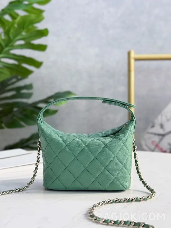 샤넬 Chanel 25C 크루즈 미니 체인 호보백 상세 이미지