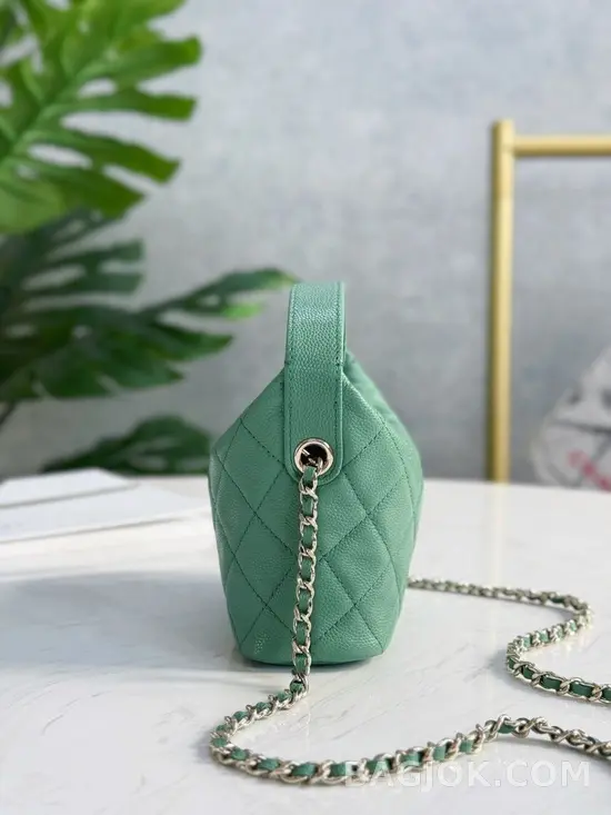 샤넬 Chanel 25C 크루즈 미니 체인 호보백 상세 이미지