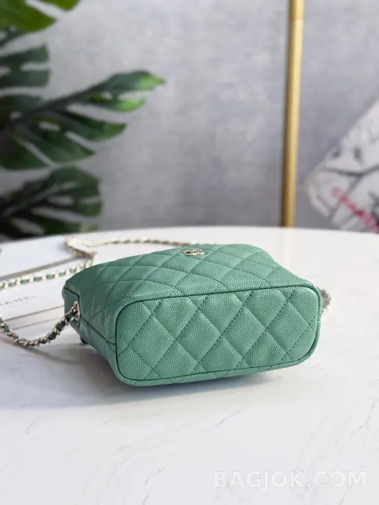 샤넬 Chanel 25C 크루즈 미니 체인 호보백 상세 이미지