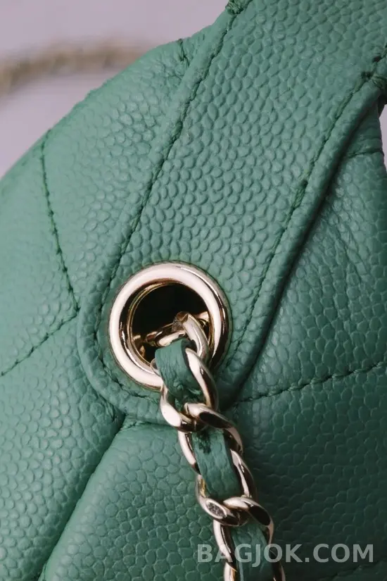 샤넬 Chanel 25C 크루즈 미니 체인 호보백 상세 이미지