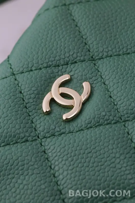 샤넬 Chanel 25C 크루즈 미니 체인 호보백 상세 이미지