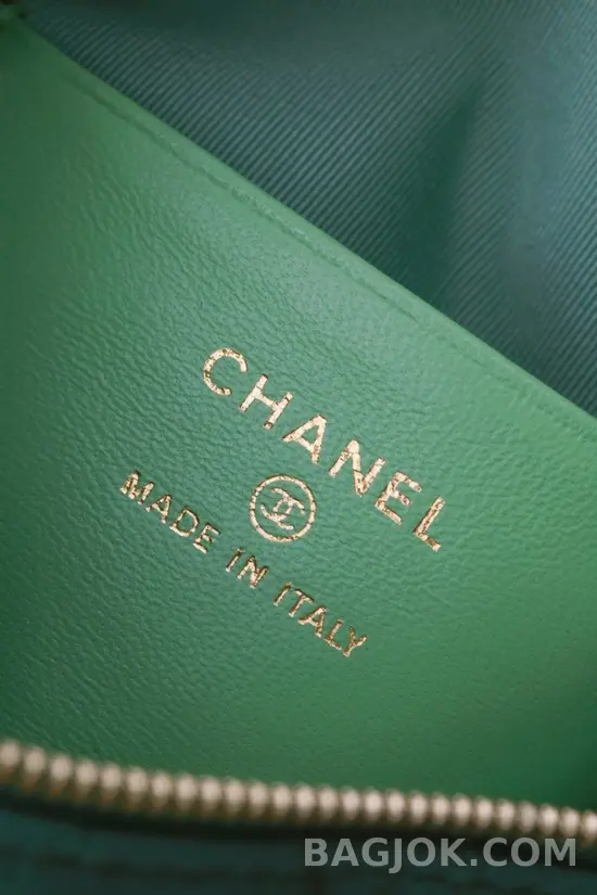 샤넬 Chanel 25C 크루즈 미니 체인 호보백 상세 이미지