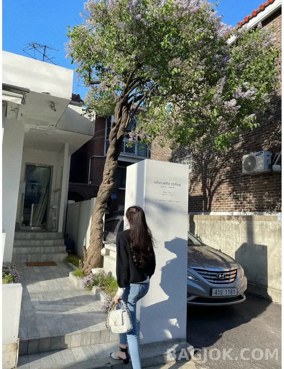샤넬 Chanel 19백 미디움 ver.1 상세 이미지
