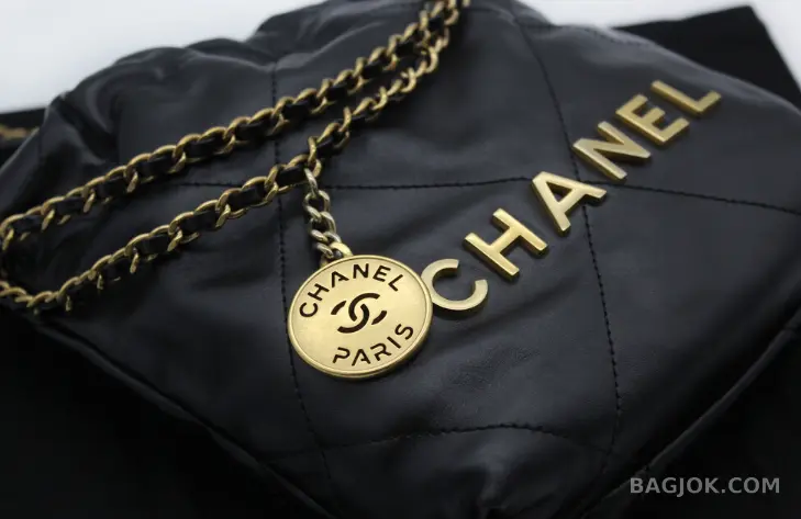 샤넬 Chanel 22백 미니 ver.1 상세 이미지