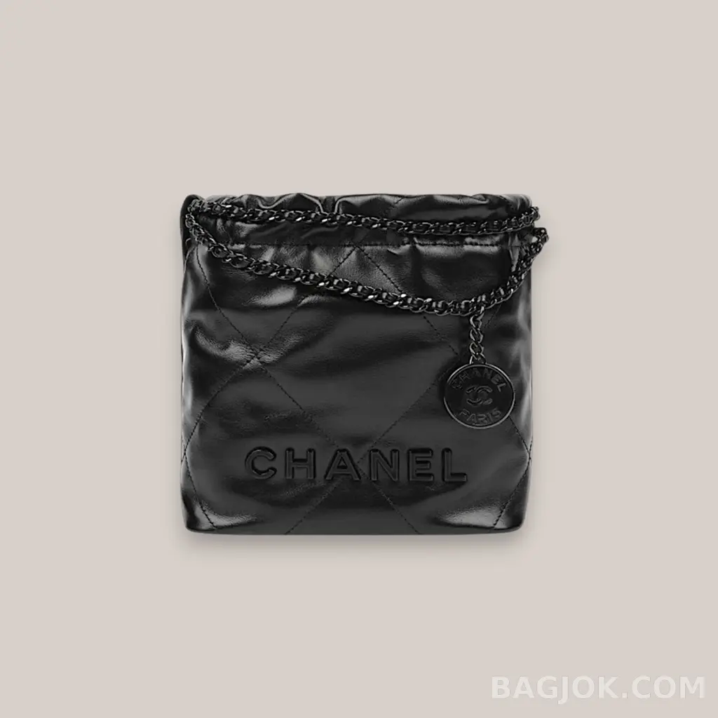 샤넬 Chanel 22백 미니 ver.1 상세 이미지
