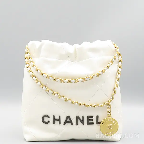 샤넬 Chanel 22백 미니 ver.1 상세 이미지