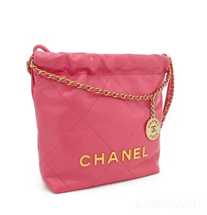 샤넬 Chanel 22백 미니 ver.1 상세 이미지