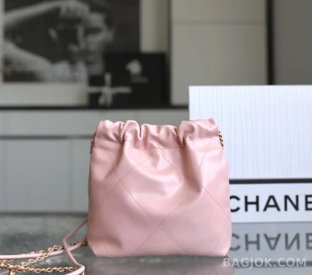 샤넬 Chanel 22백 미니 ver.1 상세 이미지