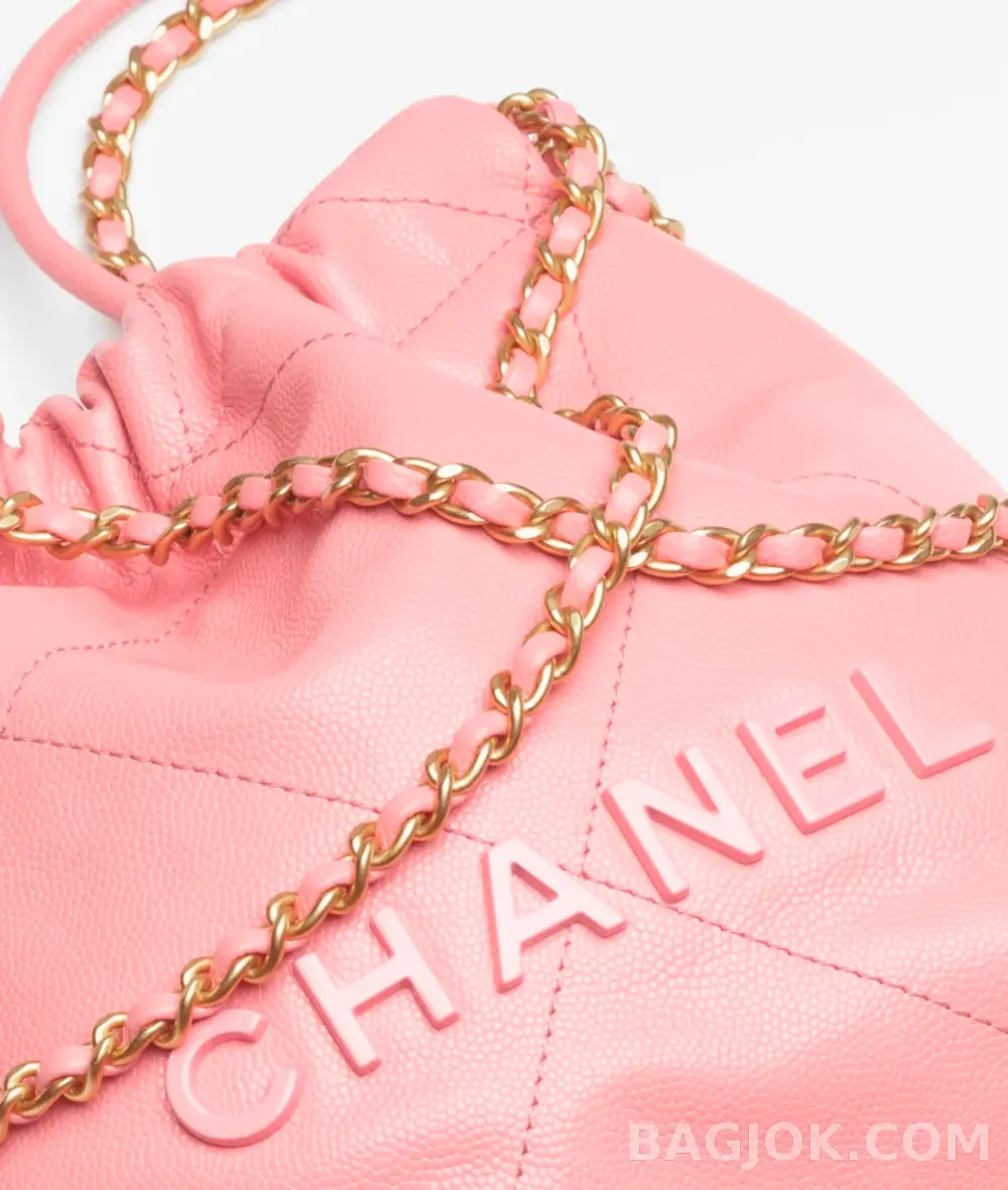 샤넬 Chanel 22백 미니 ver.1 상세 이미지