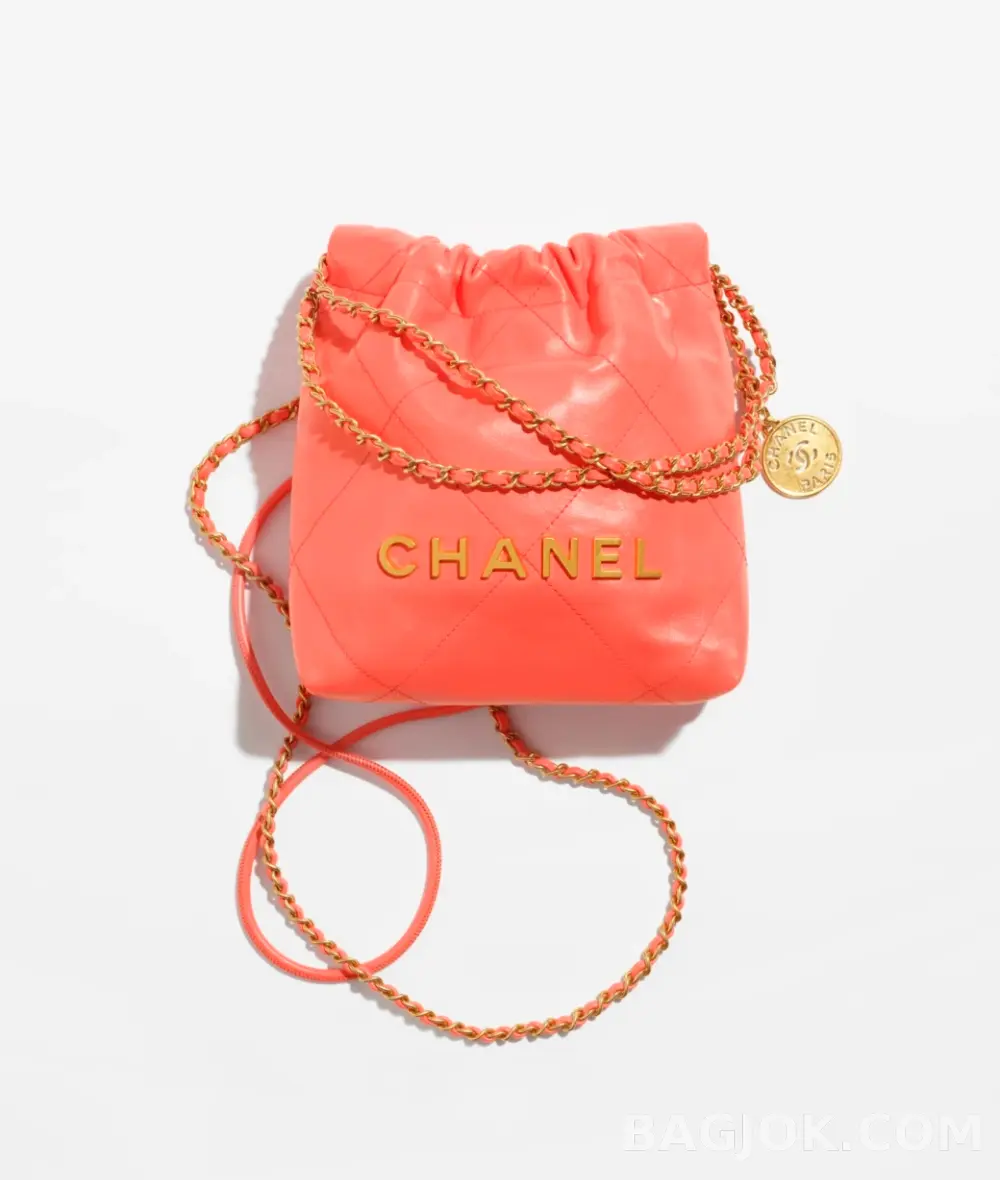 샤넬 Chanel 22백 미니 ver.2 상세 이미지