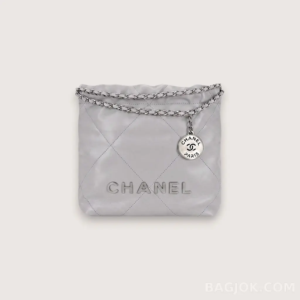 Chanel 22백 미니 ver.3_대표이미지