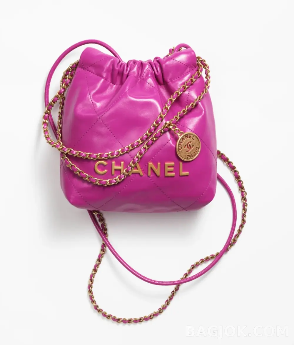 샤넬 Chanel 22백 미니 ver.4 상세 이미지