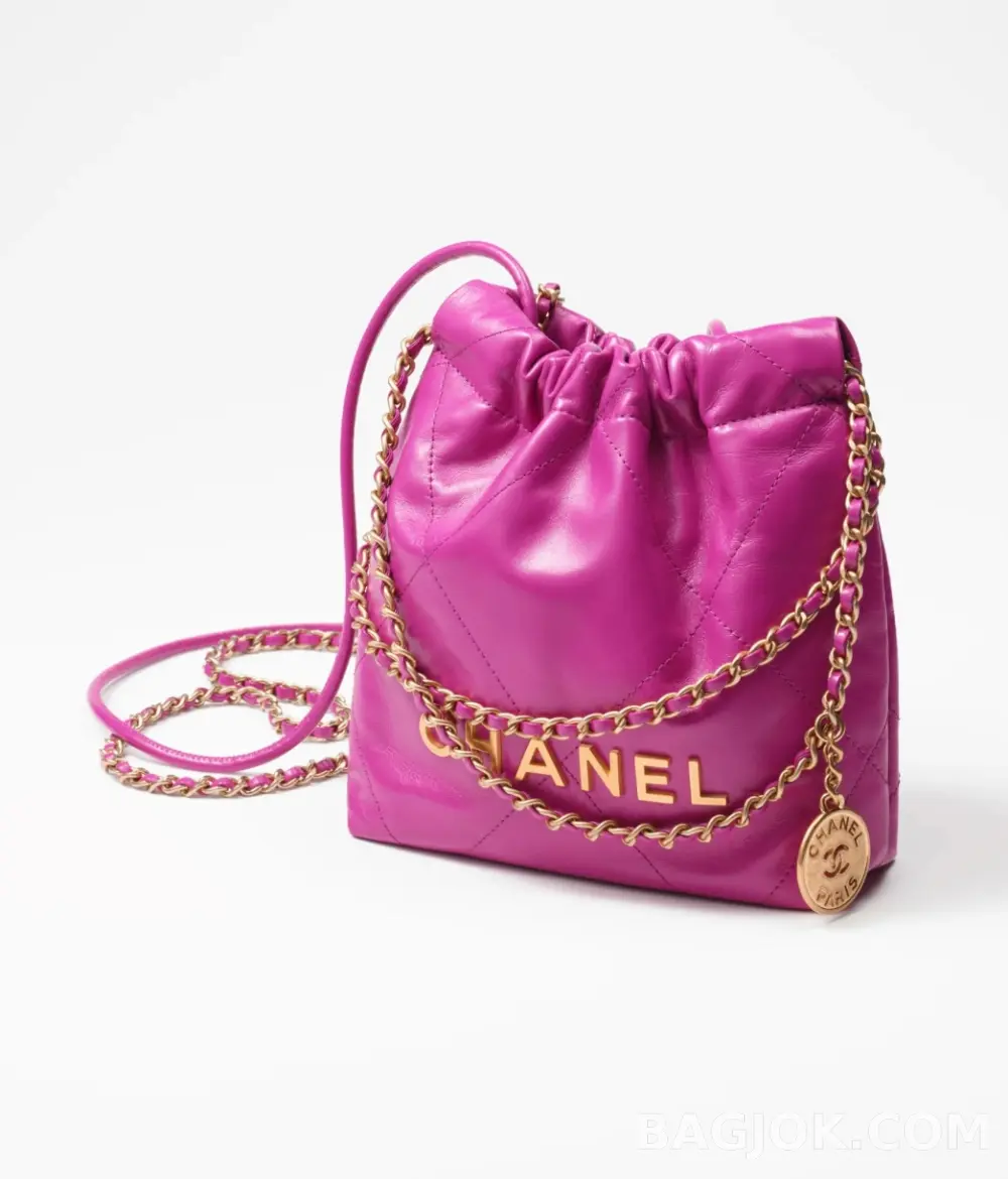 샤넬 Chanel 22백 미니 ver.4 상세 이미지