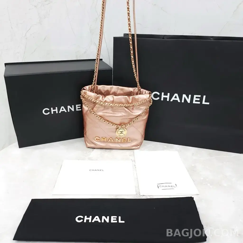 샤넬 Chanel 22백 미니 ver.5 상세 이미지