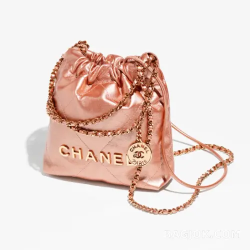 샤넬 Chanel 22백 미니 ver.5 상세 이미지
