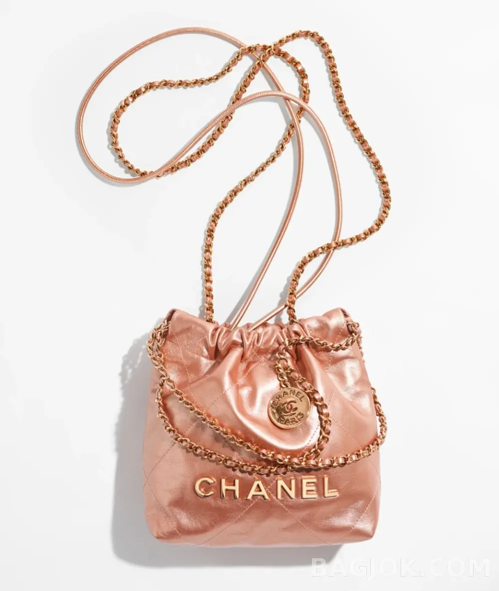 샤넬 Chanel 22백 미니 ver.5 상세 이미지