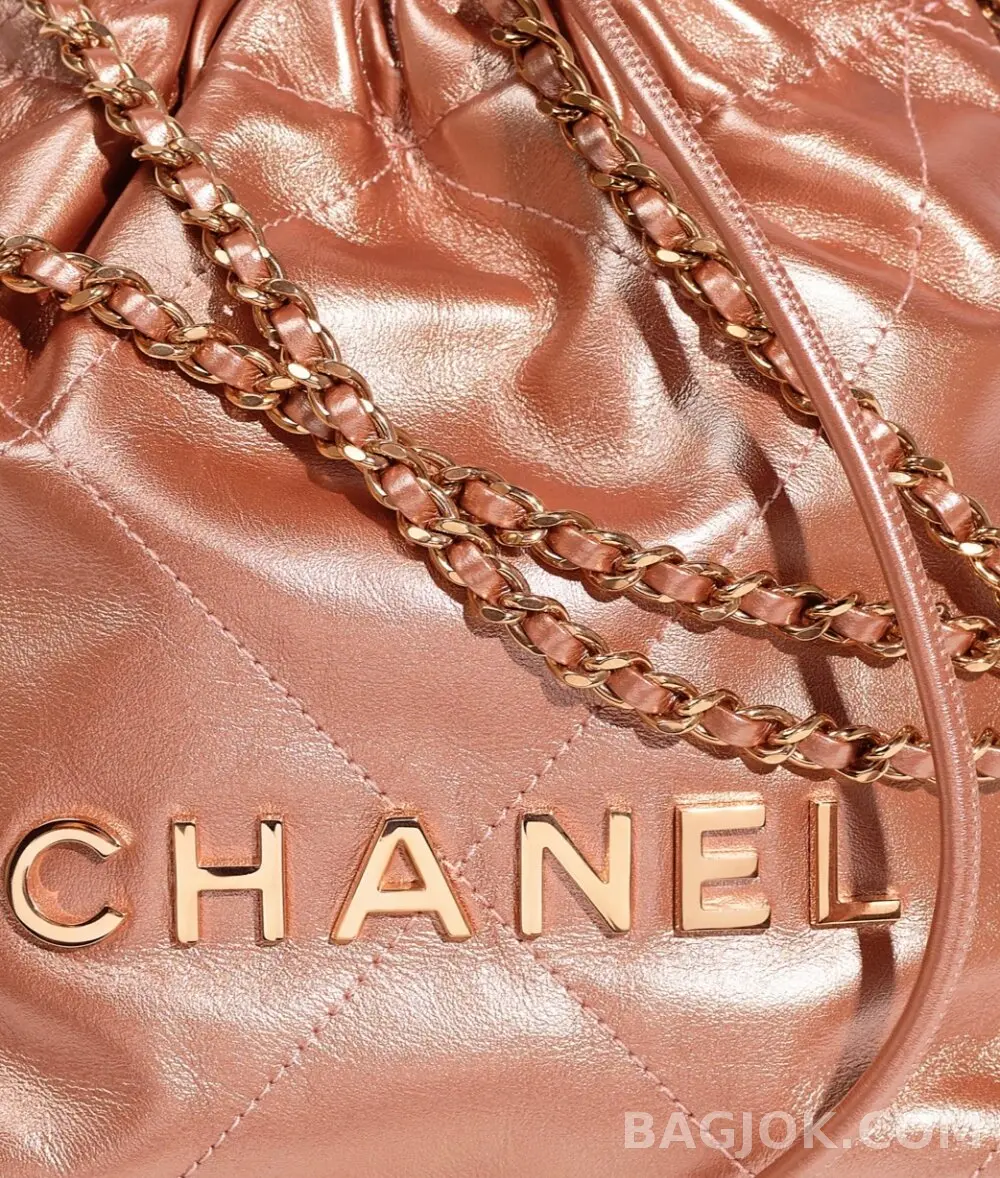 샤넬 Chanel 22백 미니 ver.5 상세 이미지