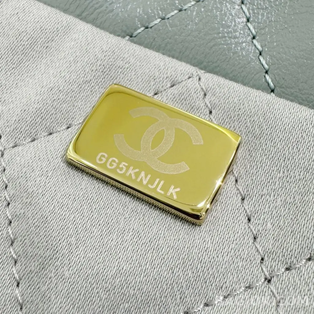 샤넬 Chanel 22백 미디움 카프스킨 상세 이미지