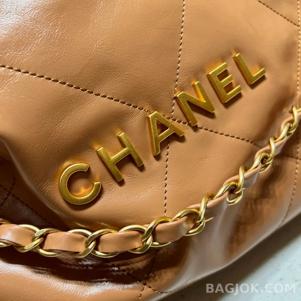 샤넬 Chanel 22백 미디움 카프스킨 상세 이미지