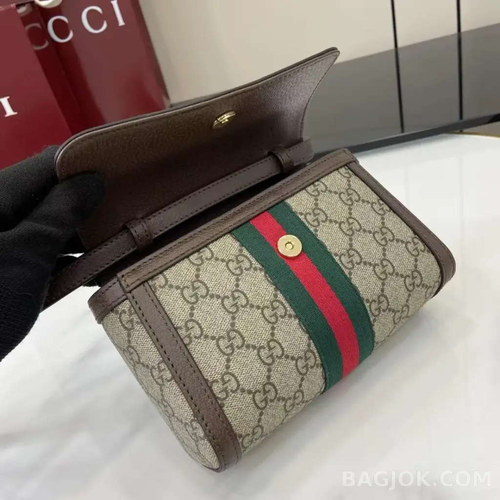 구찌 Gucci 오피디아 미니 숄더백 상세 이미지