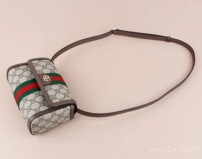 구찌 Gucci 오피디아 미니 숄더백 상세 이미지